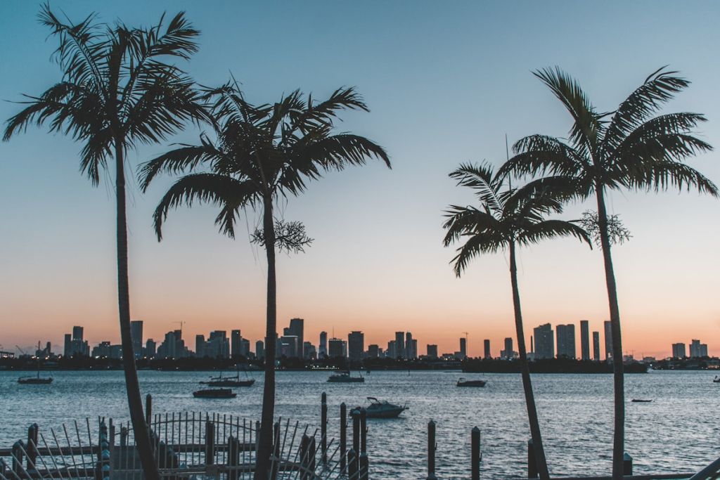 Miami skyline at sunset with palm trees — Translation AZ headquarters